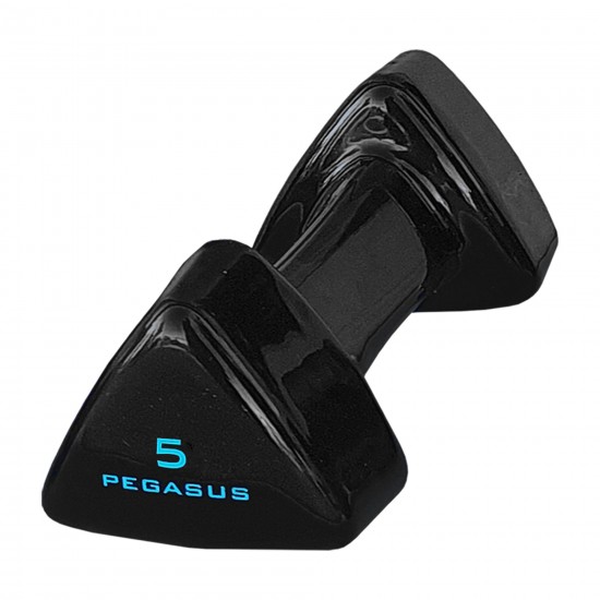 Pegasus® Τρίγωνος Αλτήρας Vinyl 5kg PG-1005 