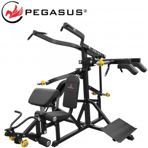 Pegasus® Πολυόργανο 3 Ατόμων PG-167 Pegasus® Πολυόργανο 3 Ατόμων PG-167