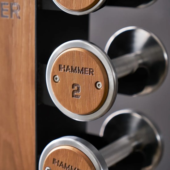 Κάθετη Βάση και Αλτήρες Hammer (1-10kg) 