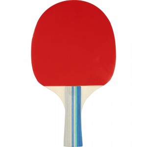 Σετ 2 Ρακέτες Ping Pong & 2 Μπαλάκια 