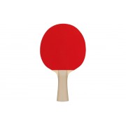 Σετ 2 Ρακέτες Ping Pong & 3 Μπαλάκια 