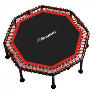 Pegasus® Οκτάγωνο τραμπολίνο 48 Pegasus® Οκτάγωνο τραμπολίνο 48