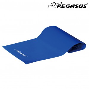 Λάστιχο Ενδυνάμωσης Κορδέλα Pegasus® (Heavy) Λάστιχο Ενδυνάμωσης Κορδέλα Pegasus® (Heavy)