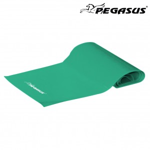 Λάστιχο Ενδυνάμωσης Κορδέλα Pegasus® (Medium) Λάστιχο Ενδυνάμωσης Κορδέλα Pegasus® (Medium)