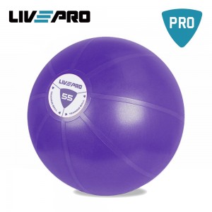 Core Fit Μπάλα Γυμναστικής 55 cm Core Fit Μπάλα Γυμναστικής 55 cm