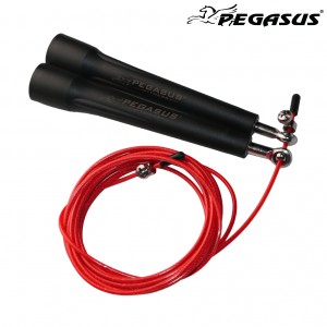 Σχοινάκι με Συρματόσχοινο Pegasus® (3m) Σχοινάκι με Συρματόσχοινο Pegasus® (3m)