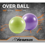 Pegasus® Μπάλα Γυμναστικής Pilates 25cm (Μωβ) 