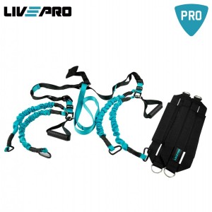 LivePro Ελαστικό Σύστημα Ανάρτησης LivePro Ελαστικό Σύστημα Ανάρτησης