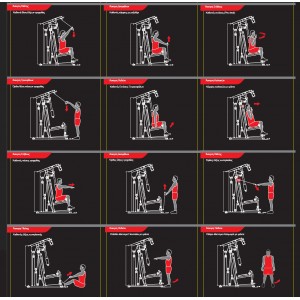Πολυόργανο Pegasus® MS-600