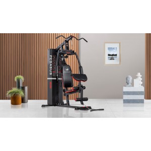 Πολυόργανο Pegasus® MS-600