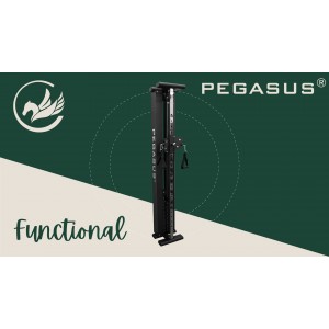 Functional Trainer Τοίχου Pegasus® T-SC01
