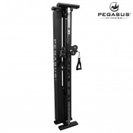 Functional Trainer Τοίχου Pegasus® T-SC01 Functional Trainer Τοίχου Pegasus® T-SC01