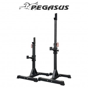Pegasus® Ρυθμιζόμενοι Ορθοστάτες (OK0043B) Pegasus® Ρυθμιζόμενοι Ορθοστάτες (OK0043B)