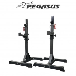 Pegasus® Ρυθμιζόμενοι Ορθοστάτες (OK0043B) Pegasus® Ρυθμιζόμενοι Ορθοστάτες (OK0043B)