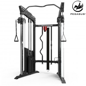 Pegasus® Fuctional Trainer FM-500 Pegasus® Fuctional Trainer FM-500