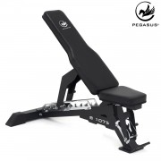 Πάγκος Ρυθμιζόμενος Pegasus® B1075 