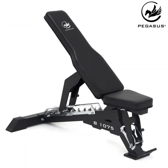 Πάγκος Ρυθμιζόμενος Pegasus® B1075 
