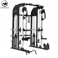 Pegasus® All-in-One Trainer X1