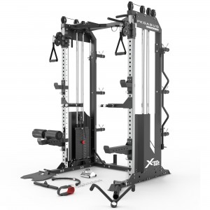 Pegasus® XT2 (Functional Trainer, Κλωβός, All-in-One) Pegasus® XT2 (Functional Trainer, Κλωβός, All-in-One)