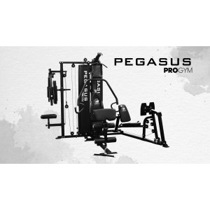 Pegasus® Pro Gym 3 Θέσεων MT-18504-ABC Pegasus® Pro Gym 3 Θέσεων MT-18504-ABC