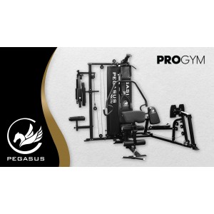 Pegasus® Pro Gym 3 Θέσεων MT-18504-ABC Pegasus® Pro Gym 3 Θέσεων MT-18504-ABC
