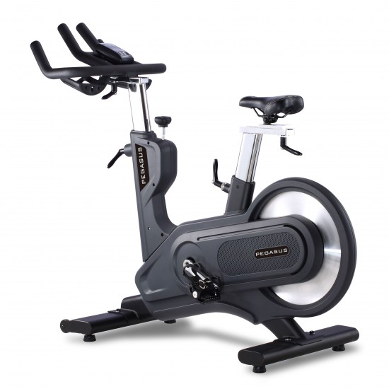 Pegasus® Spinning Bike S12 Pegasus® Spinning Bike S12
