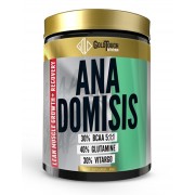 Anadomisis (400g) (GoldTouch Nutrition) Αμινοξέα