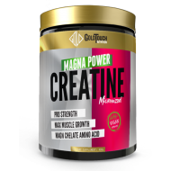 Creatine Magna Power 400g Gold Touch Nutrition Creatine Magna Power 400g Gold Touch Nutrition