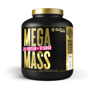 Mega Mass 2kg GoldTouch Nutrition Πρωτεΐνες