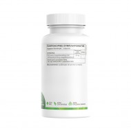 PQQ 20mg 60 φυτικές κάψουλες Green Forest