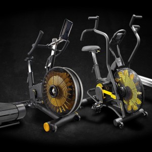 ΟΡΓΑΝΑ ΓΥΜΝΑΣΤΙΚΗΣ