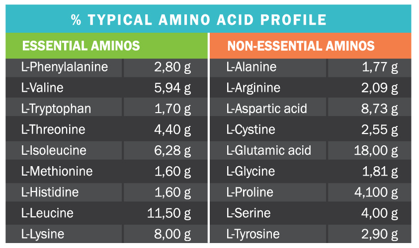ISO TOUCH 86% amino acid profile